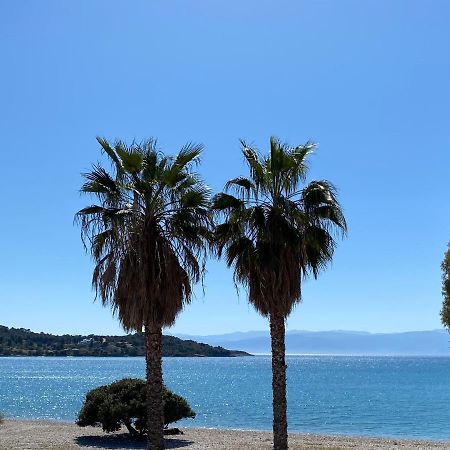 Palm Suite Green Porto Heli Extérieur photo